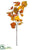 Maple Leaf Spray - Fall - Pack of 12