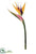 Silk Plants Direct Bird of Paradise Spray - Natural - Pack of 6