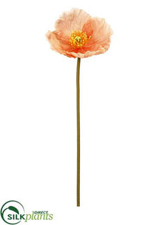 Poppy Spray - Salmon - Pack of 36