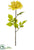 Dahlia Spray - Vanilla - Pack of 12