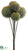 Barrel Cactus Bush - Green - Pack of 12