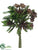 Succulent Bouquet - Green Burgundy - Pack of 12