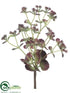 Silk Plants Direct Desert Butterfly Plant - Burgundy Green - Pack of 12
