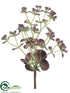 Silk Plants Direct Desert Butterfly Plant - Burgundy Green - Pack of 12