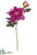 Peony With Bud Spray - Boysenberry - Pack of 12