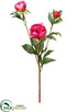 Silk Plants Direct Peony Spray - Boysenberry - Pack of 12