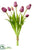 Tulip Bundle - Boysenberry - Pack of 12