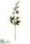 Hollyhock Spray - White Boysenberry - Pack of 6