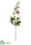 Hollyhock Spray - White Boysenberry - Pack of 6