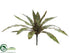 Silk Plants Direct Bromeliad Plant - Green Burgundy - Pack of 12