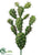 Pear Cactus - Green - Pack of 4