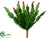 Cactus Pick - Green Red - Pack of 24