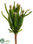 Cactus Pick - Green Burgundy - Pack of 12