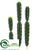 Peruvian Cactus - Green - Pack of 3