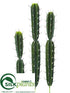 Silk Plants Direct Peruvian Cactus - Green - Pack of 3