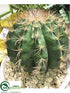 Silk Plants Direct Barrel Cactus - Green - Pack of 2