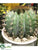Barrel Cactus - Green - Pack of 1