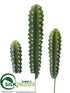 Silk Plants Direct Peruvian Cactus - Green - Pack of 6