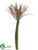 Palm Cactus - Green Mauve - Pack of 6