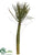Palm Cactus - Green - Pack of 6