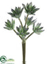 Silk Plants Direct Sedum Spray - Green Frosted - Pack of 24