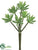 Sedum Spray - Green - Pack of 24