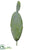 Pear Cactus - Green - Pack of 12