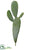 Pear Cactus - Green - Pack of 12