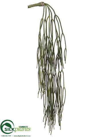 hanging pencil cactus Silk Plants Direct Pencil Cactus Hanging Bush - Green