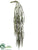 Pencil Cactus Hanging Bush - Green - Pack of 24
