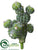 Barrel Cactus Pick - Green - Pack of 6