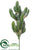 Cactus - Green - Pack of 6