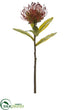 Silk Plants Direct Protea Spray - Brick - Pack of 24