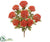 Queen Anne's Lace Bush - Brick - Pack of 12