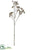 Silk Plants Direct Aralia Bud Spray - Brown Ice - Pack of 12