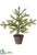 Silk Plants Direct Pine Tree - Green Ice - Pack of 4