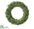 Iced Magnolia Leaf Wreath - Green Ice - Pack of 2