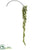 Iced Pine Sprayd - Green Ice - Pack of 12