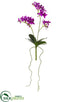 Silk Plants Direct Mini Phalaenopsis Orchid Plant - Orchid - Pack of 12