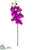 Phalaenopsis Orchid Spray - Orchid - Pack of 12