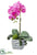 Silk Plants Direct Phalaenopsis Orchid Plant - Orchid - Pack of 2