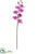 Silk Plants Direct Phalaenopsis Orchid Spray - Orchid - Pack of 12