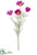 Cosmos Spray - Orchid - Pack of 12