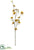 Spray - Mustard Terra Cotta - Pack of 12