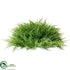 Silk Plants Direct Mini Cypress Half Ball - Green - Pack of 1
