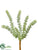 Donkey Tail Pick - Green Gray - Pack of 24