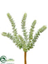 Silk Plants Direct Donkey Tail Pick - Green Gray - Pack of 24