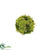 Green Moss Rock Ball - Green - Pack of 8