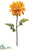 Dahlia Spray - Mustard - Pack of 6