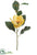 Magnolia Spray - Mustard - Pack of 12